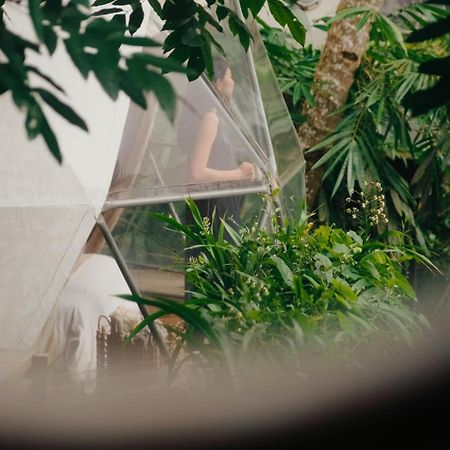 Lintang Luku Tent Resort Ijen, Banyuwangi Banyuwangi  Eksteriør bilde