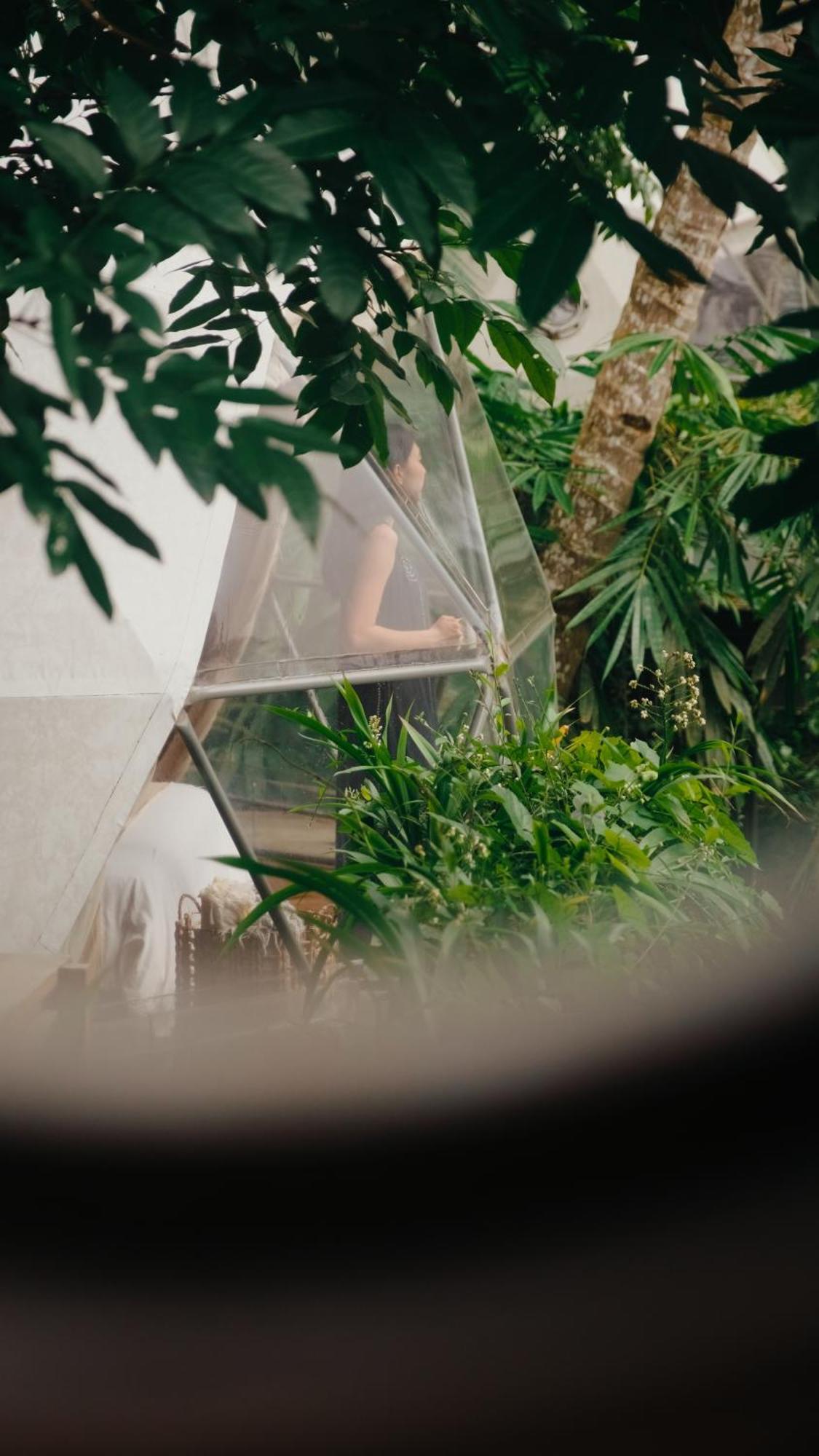 Lintang Luku Tent Resort Ijen, Banyuwangi Banyuwangi  Eksteriør bilde