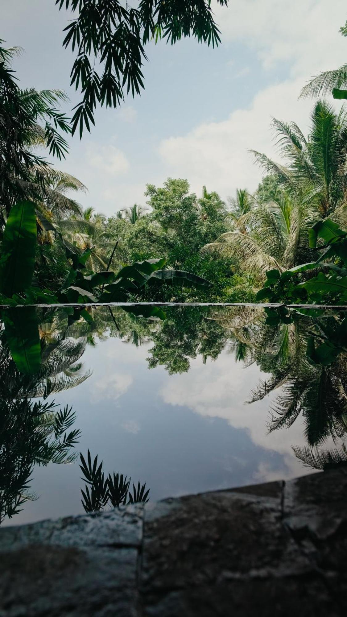 Lintang Luku Tent Resort Ijen, Banyuwangi Banyuwangi  Eksteriør bilde
