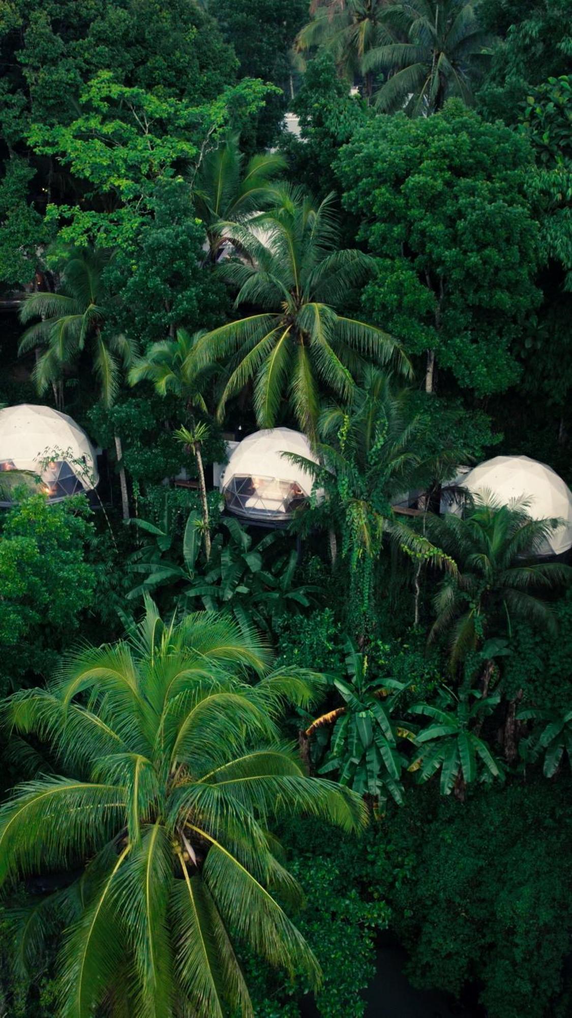 Lintang Luku Tent Resort Ijen, Banyuwangi Banyuwangi  Eksteriør bilde